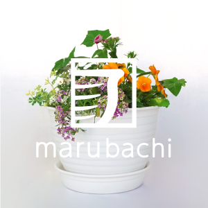marubachi 丸鉢シリーズ